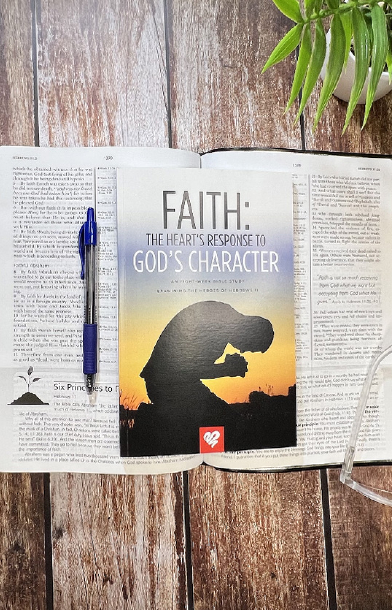 Faith the hearts response to gods character bss176 FLAT LAY